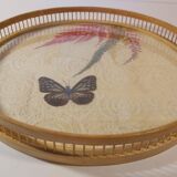 Top and coaster butterfly from the 70s