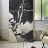 Ancienne photographie arbre noir et blanc XXL