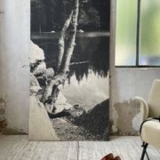 Ancienne photographie arbre noir et blanc XXL