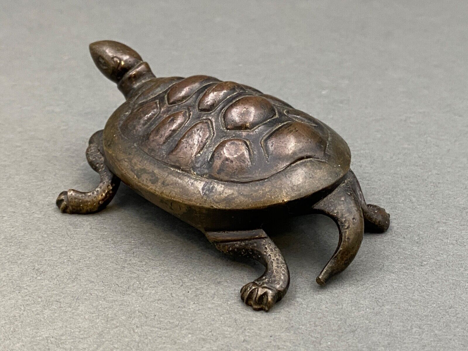 Bronze turtle XIXth Chocolate patina Fine carving