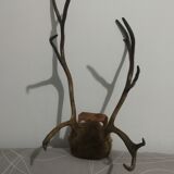 Deer Massacre
