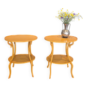 Pair of side tables decorated with swans. Empire style, Italy mid-1900s.