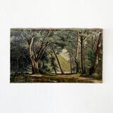 Painting "Undergrowth", Oil on canvas