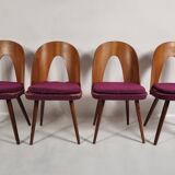 Vintage chairs by Antonin Suman from the 1960s, Set of 4