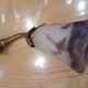 Old glass paste tulip wall light