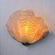 French Art Deco shell wall sconce – amber glass, 1960s
