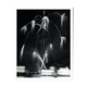 Photographie nocturne d'un feu d'artifice de gala