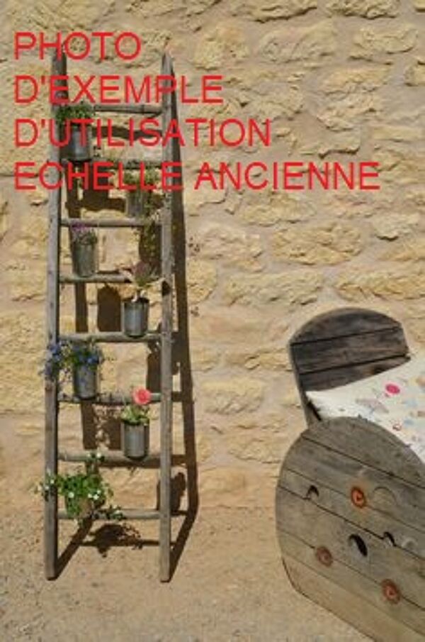Echelle de cueillette en bois vintage 7 barreaux
