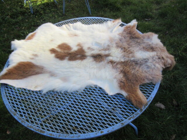 Sheepskin rug
