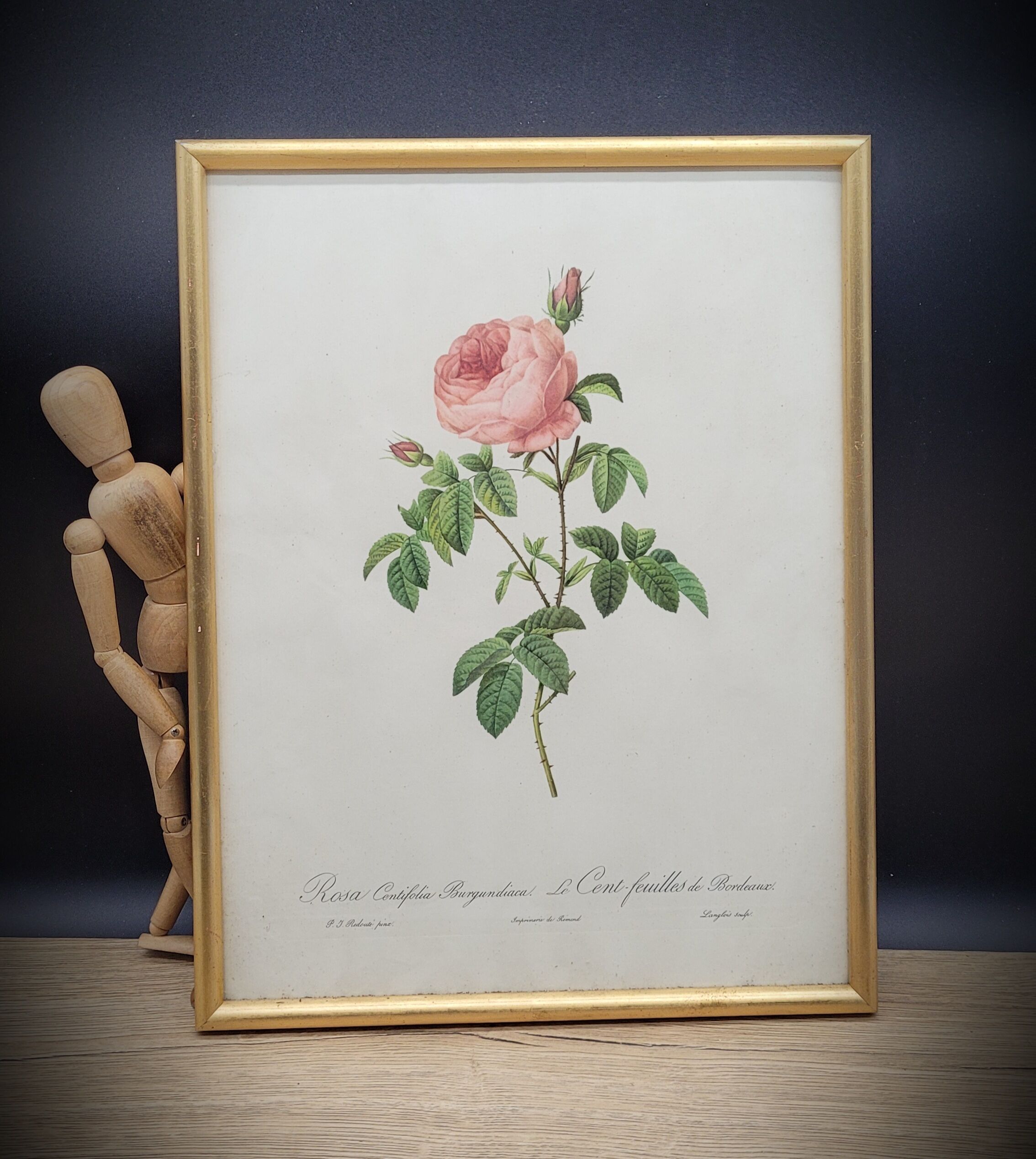 Lithograph under frame Rosier Centfeuilles de Bordeaux