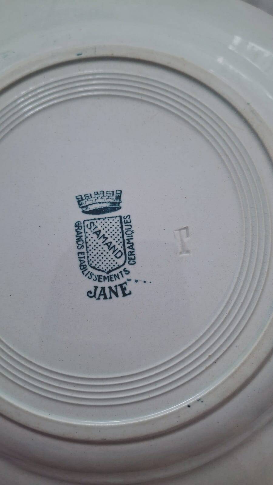 Set of 4 antique ironstone plates from Saint-Amand, "Jane" model.