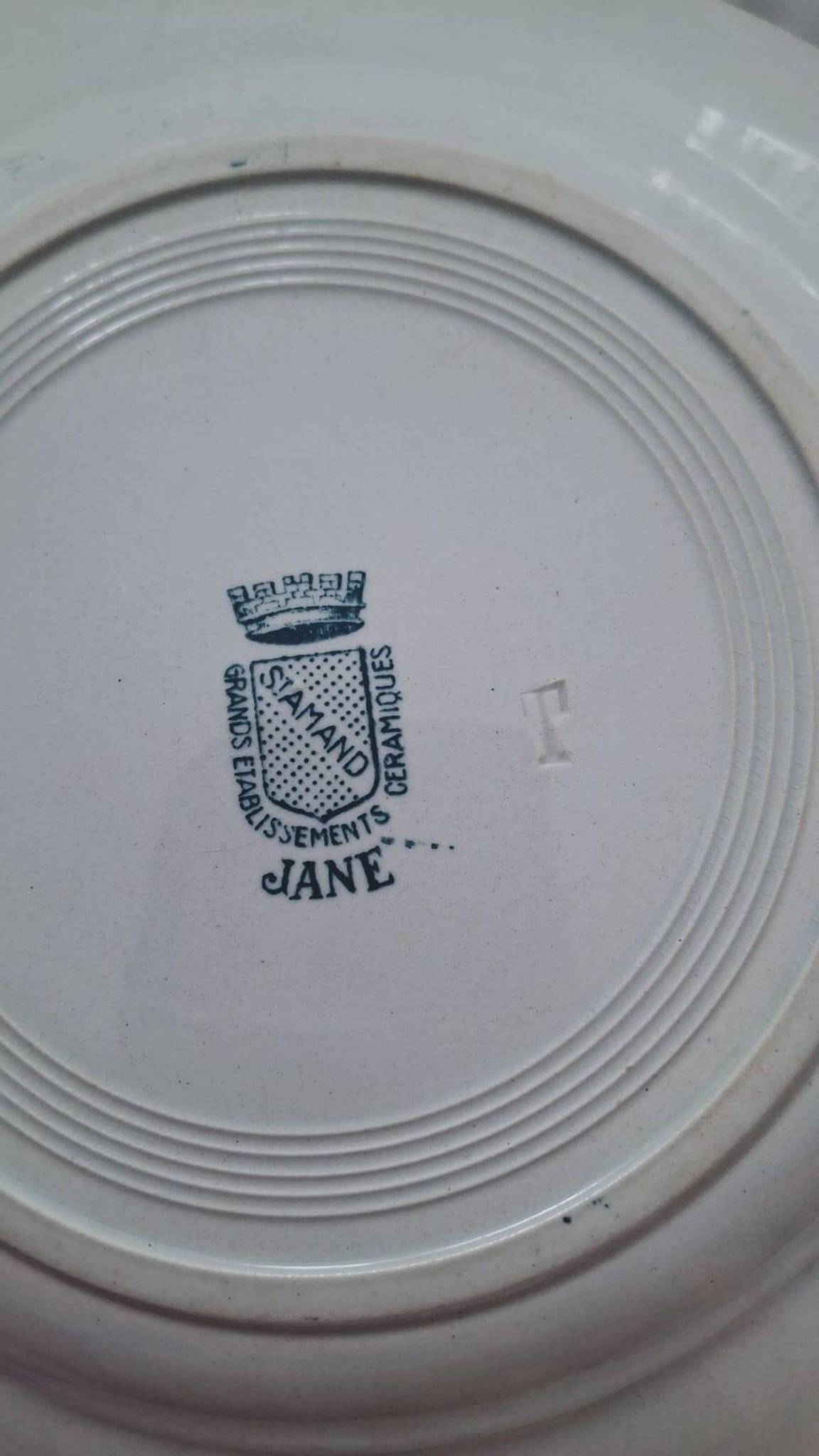 Set of 4 antique ironstone plates from Saint-Amand, "Jane" model.