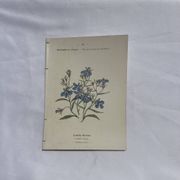 Planche botanique, gravure fleur double face, 1800
