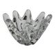 Coupe Daum flammes