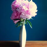 Porcelain Virebent Vase