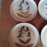 Flat plates sandstone of the marsh