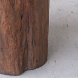 Large French Natural Wooden Trunk Planter