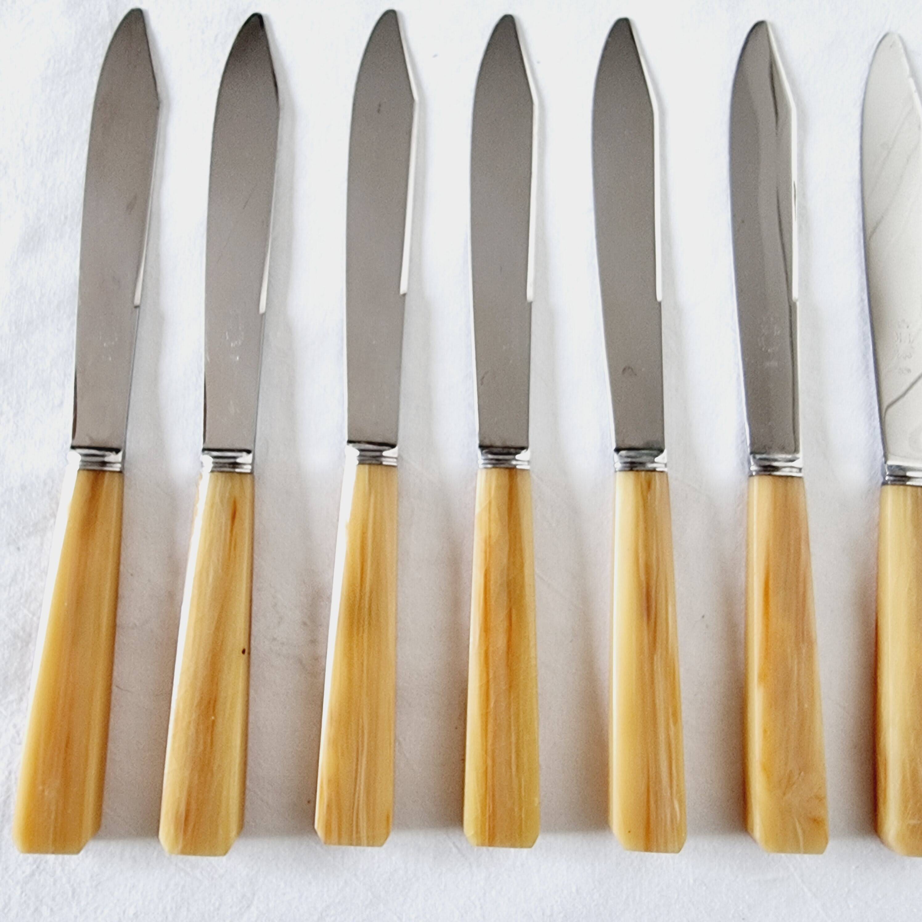 10 table or lunch knives in stainless steel and Messina from the 70s New