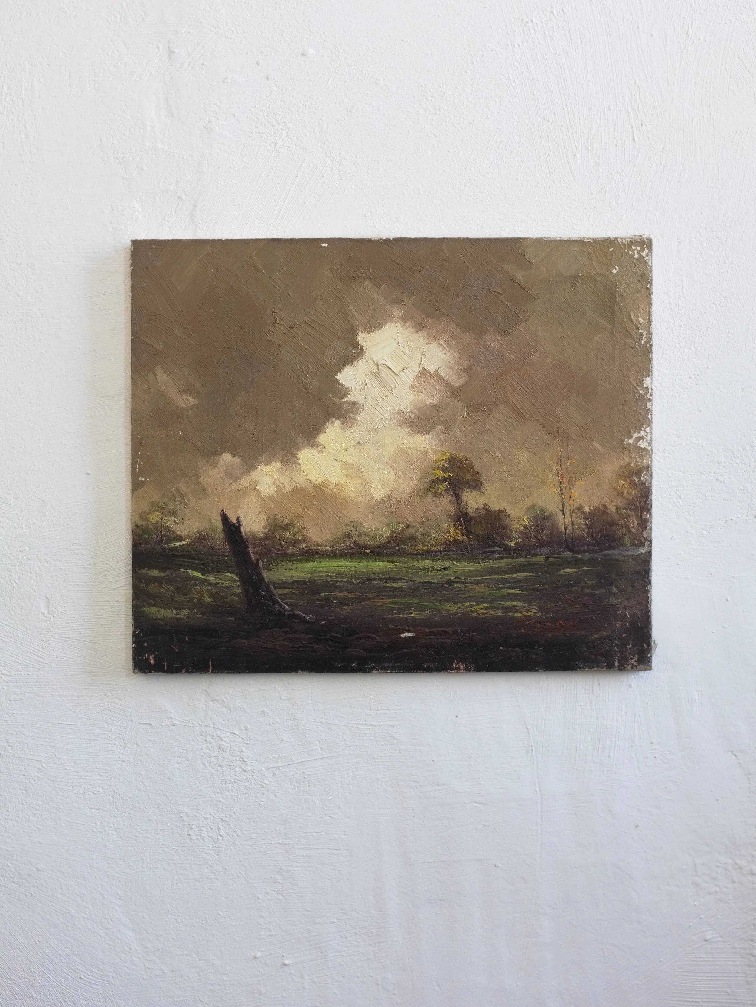 Landscape oil painting on canvas | 1950s