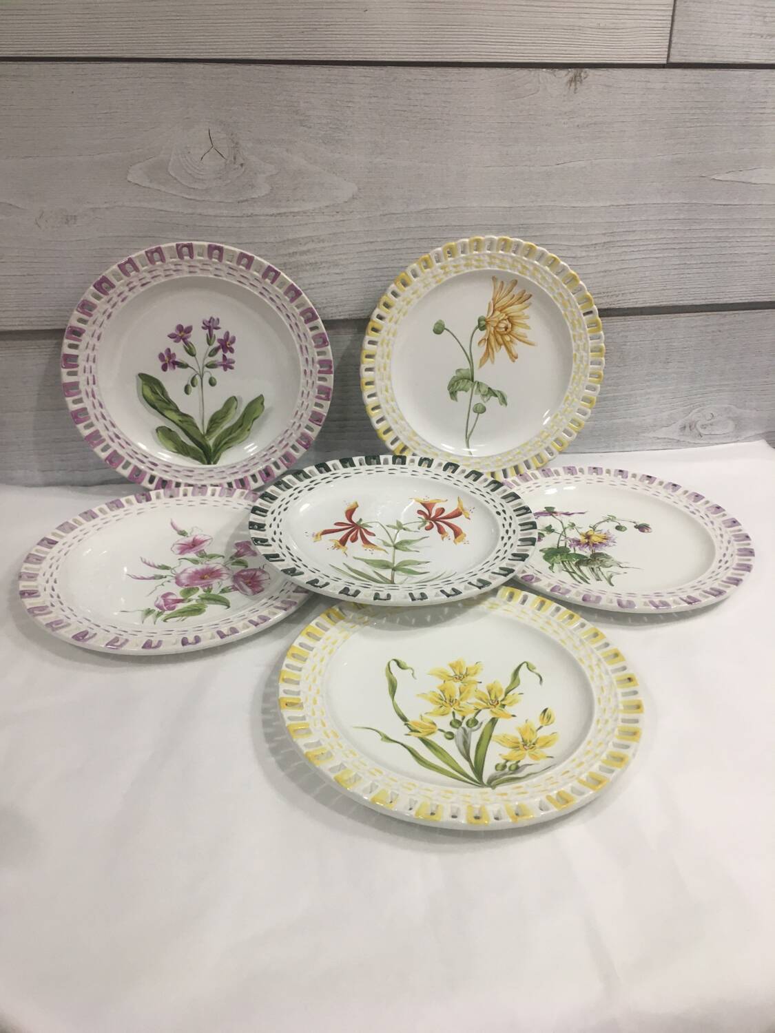 Rovina Epinal plates