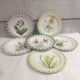 Rovina Epinal plates