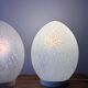 Glass egg lamp duo