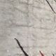 Former carpet moroccan art deco made hand 138 x 200 cm
