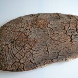 Couasse provençale plat géant en écorce de chêne liège 72 / 37 cm