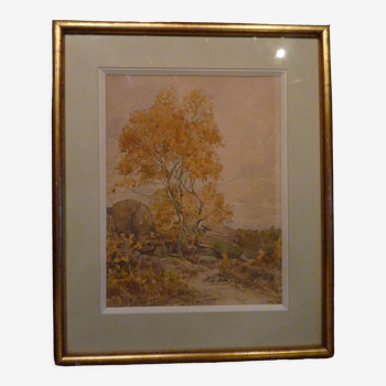 Aquarelle encadrée, paysage d'automne à Fontainebleau, 1936