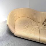 De Sede lounge shell; DS102