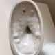 Antique porcelain duck and goose terrine