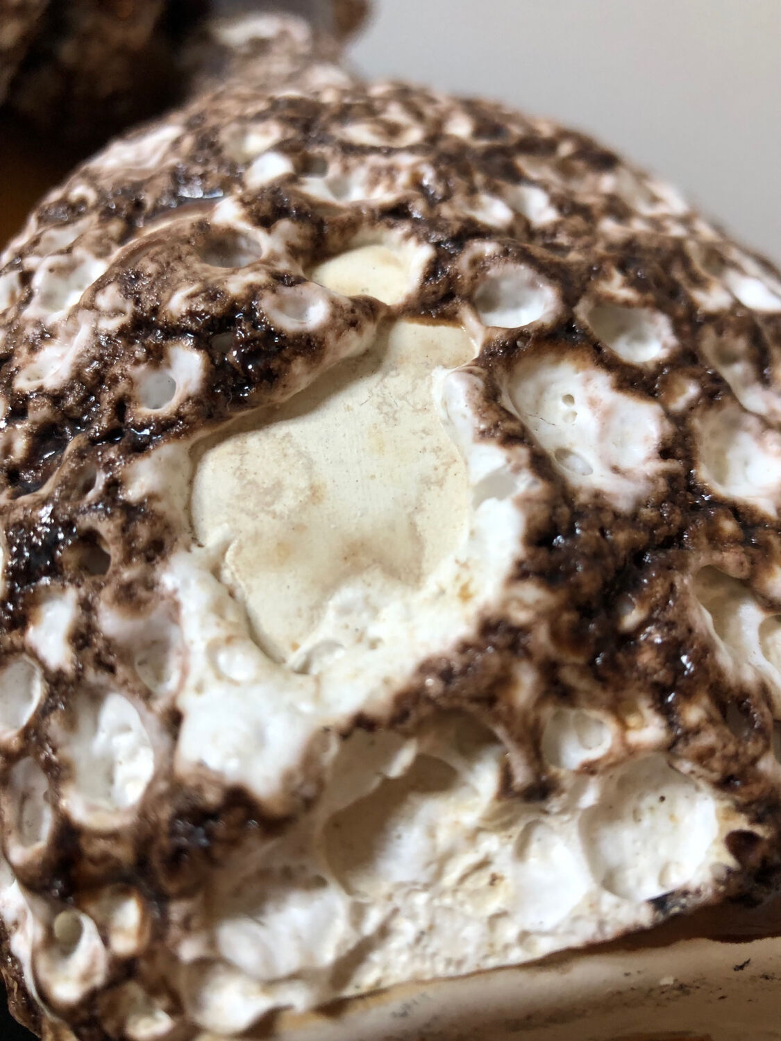 Vallauris fatlava liqueur set