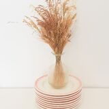 Quadrifoglio Franco Giorgi plates