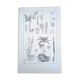 Printed in 1889, Palms and Aroideae. Old botanical plate.