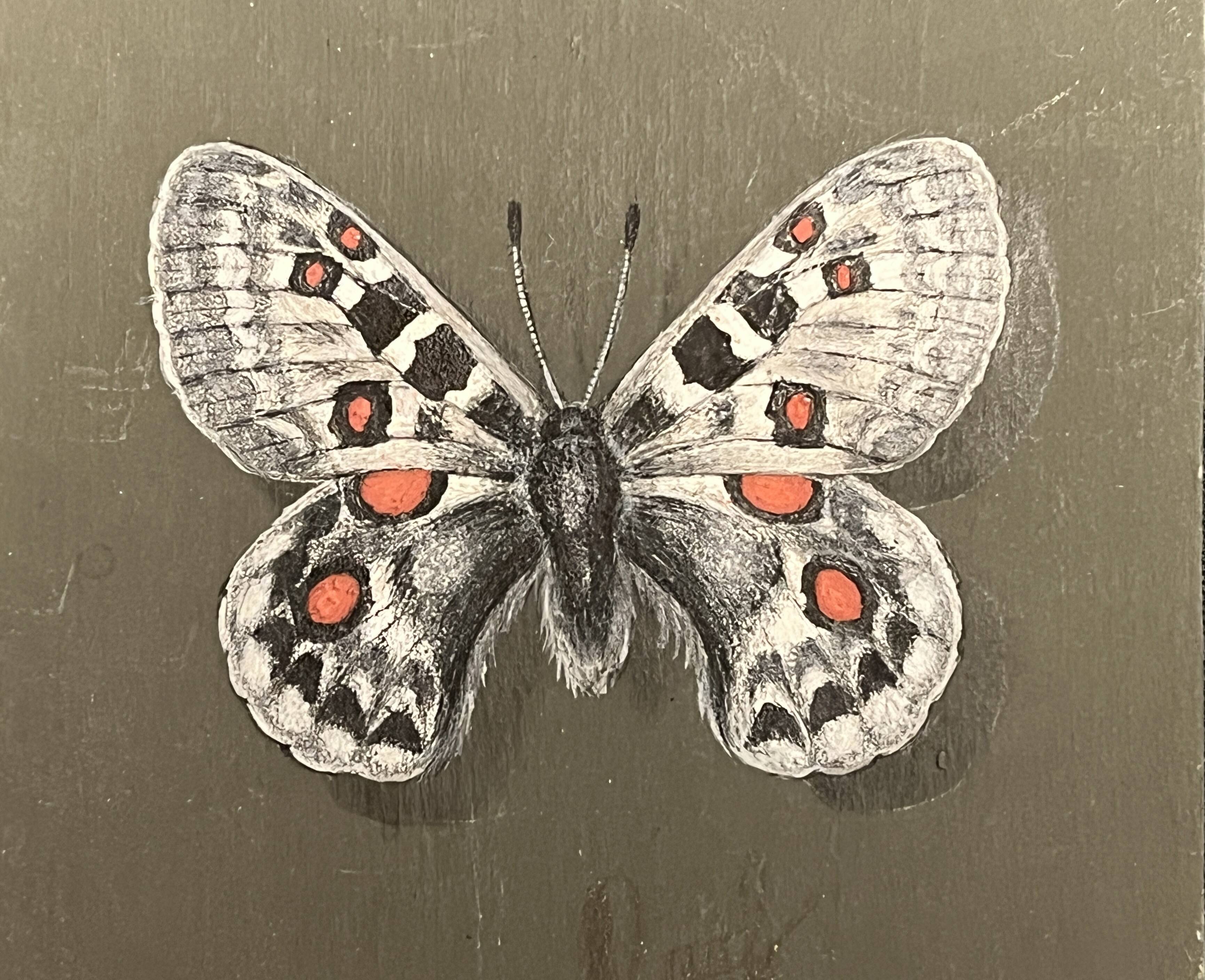 Pastel, butterfly drawing signed, 20th century frame