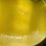 Lemon decorative plate