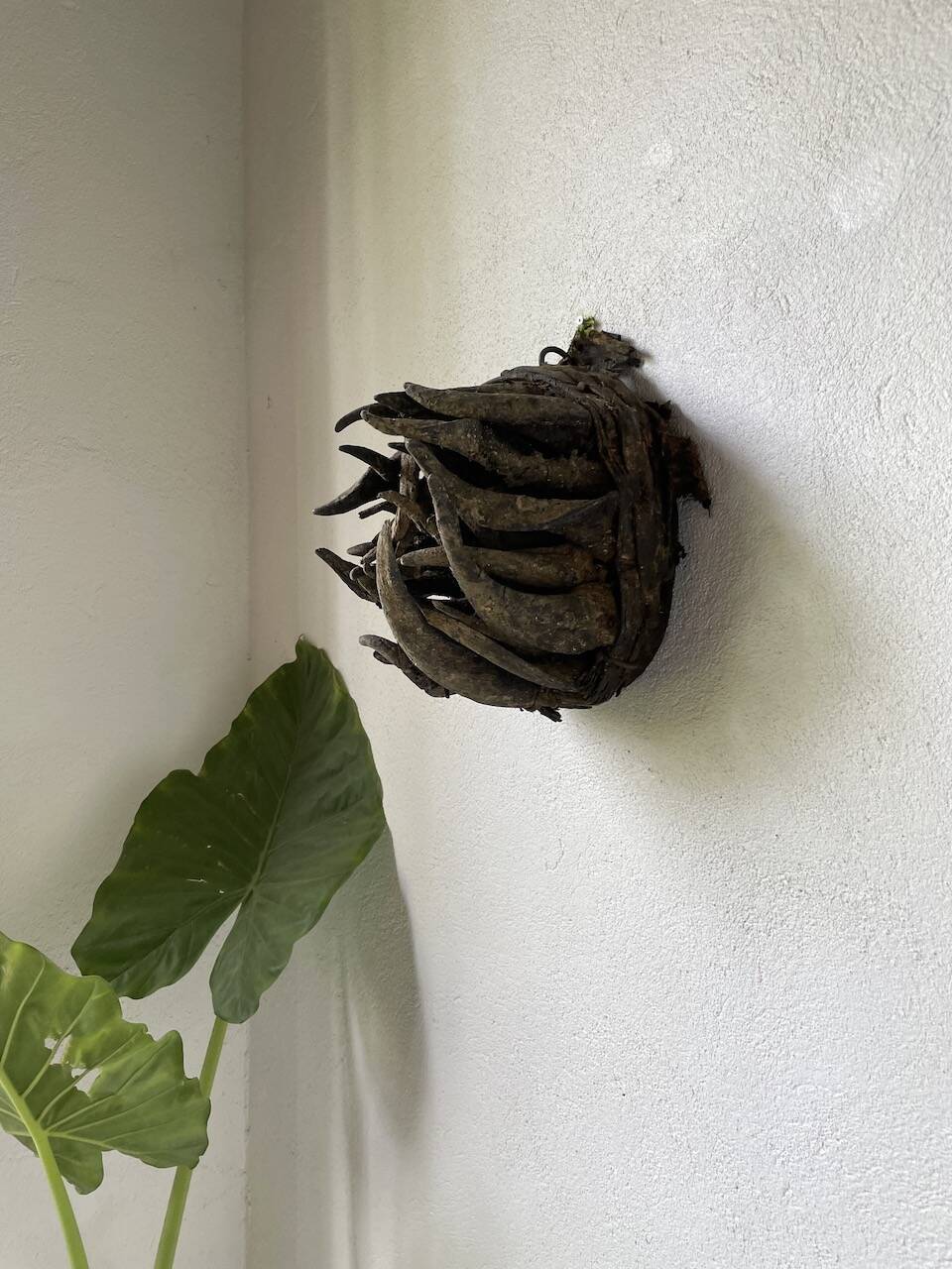 Bété Nyabwa mask Ivory Coast