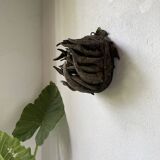 Bété Nyabwa mask Ivory Coast