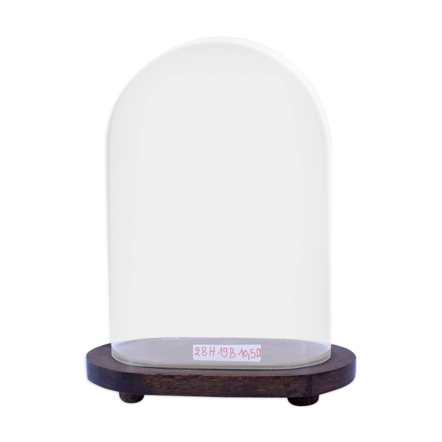 Oval glass wedding globe 28 cm high
