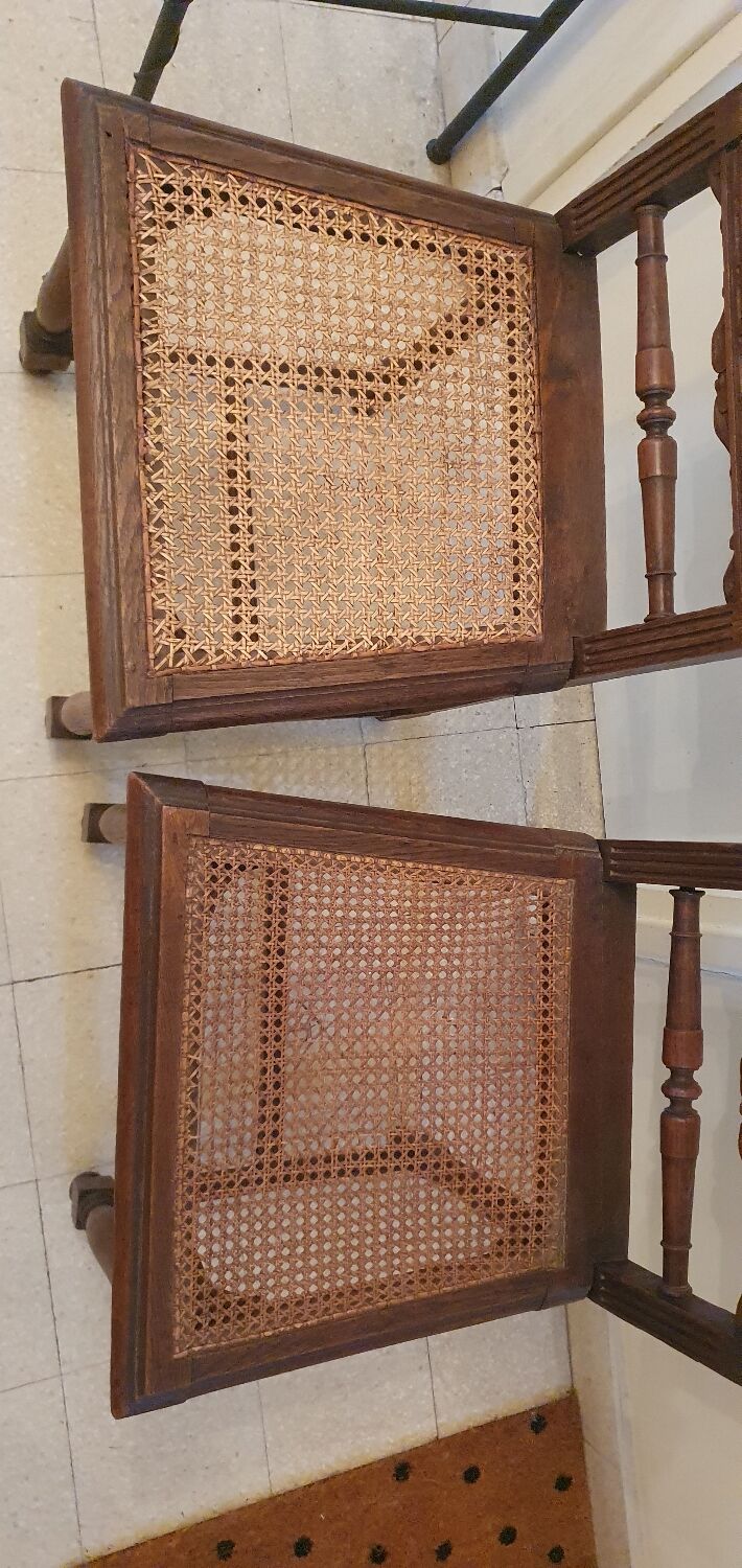 Lot de 2 chaises bois massif tête de lion