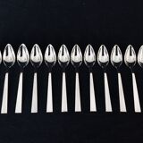 12 teaspoons/dessert silver robbe and berking house
