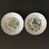 Set of 2 Glen plates with botanical decor