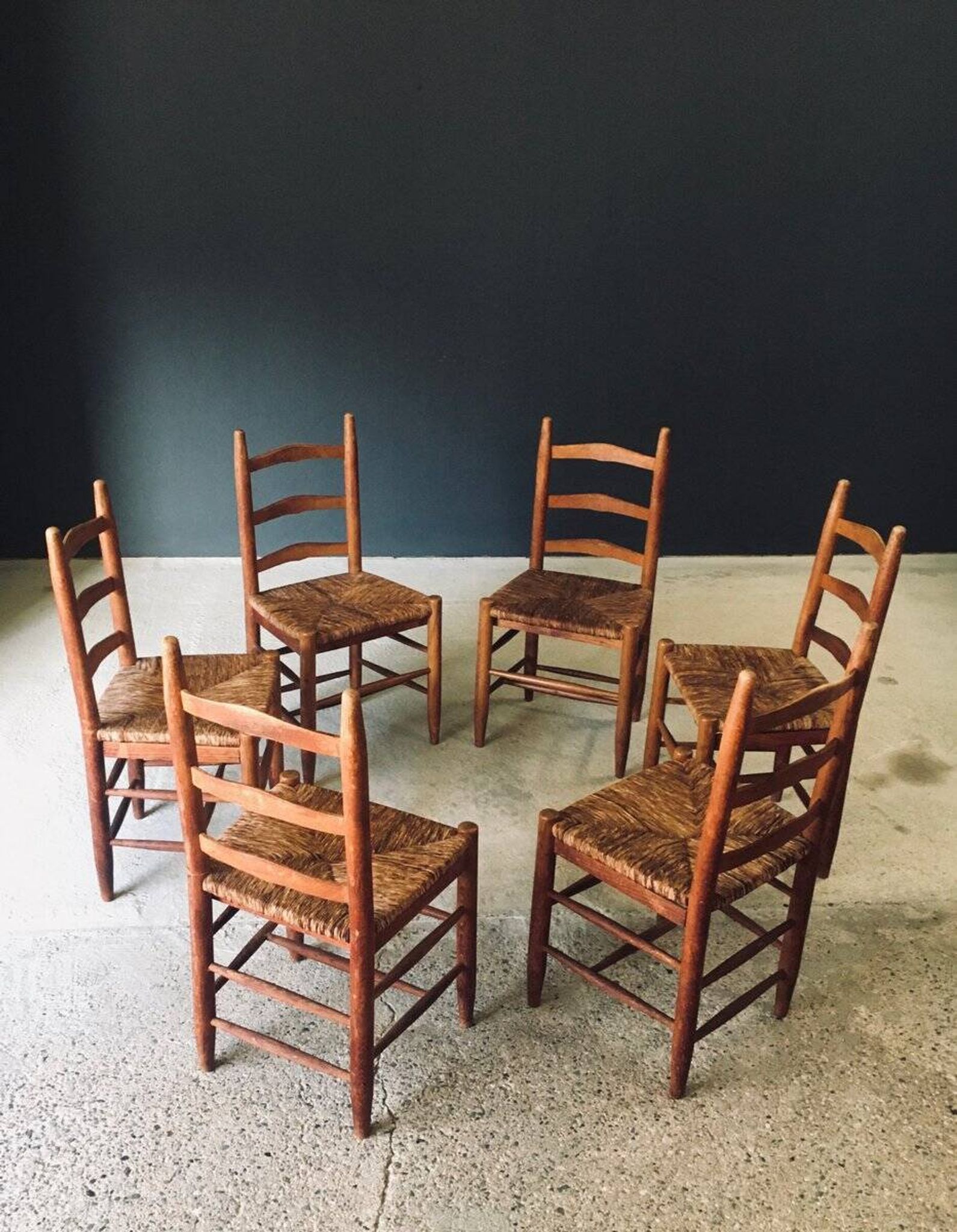 Low rustic ladder back dining chairs in oak and rush, Belgium, 1950s, set of 6.