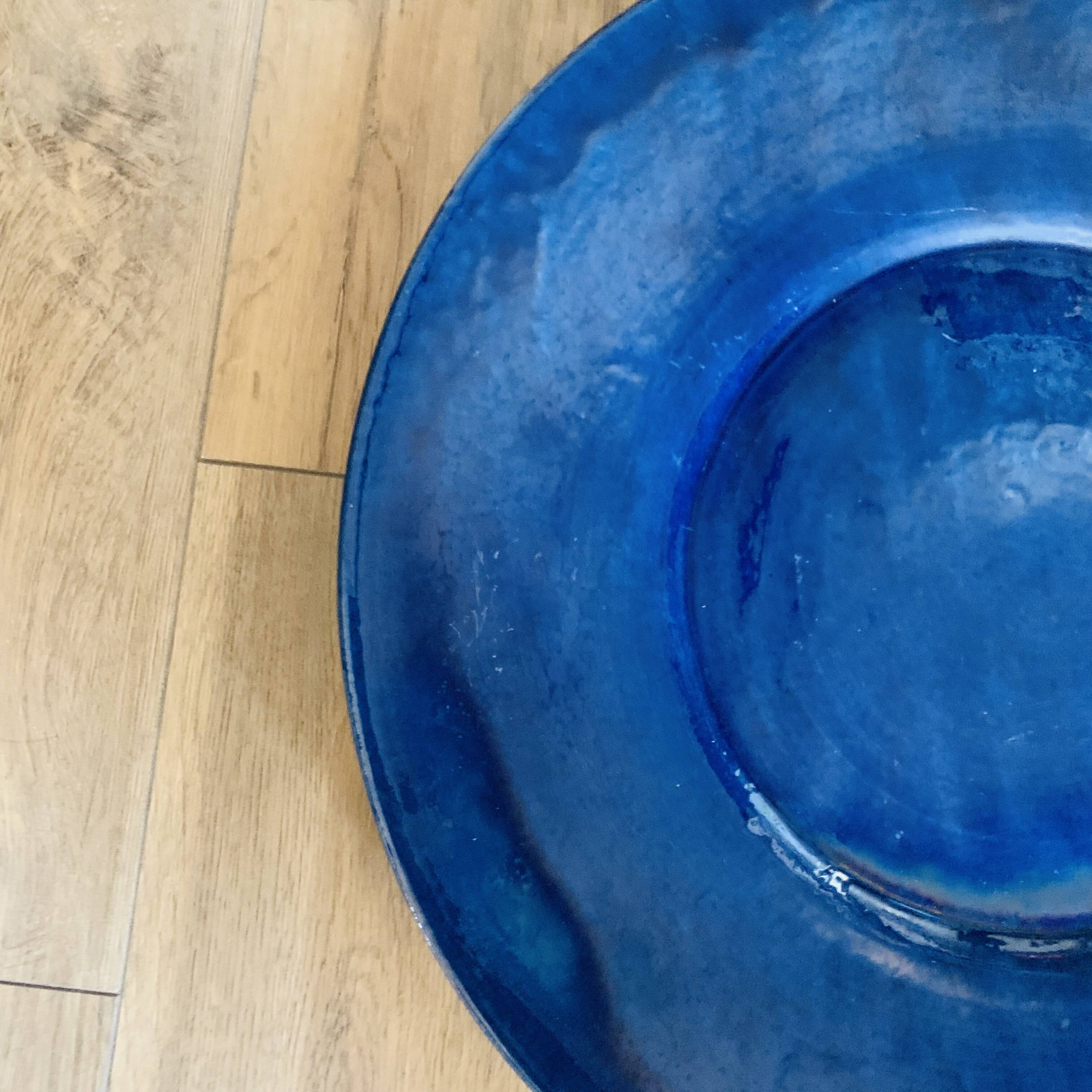 Large blue biot dish