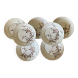 Hand-painted dessert plates