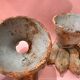 Antique Cast Iron Garden Lions Paw Feet