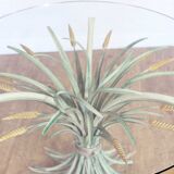 "Coco Chanel" coffee table 50/60s