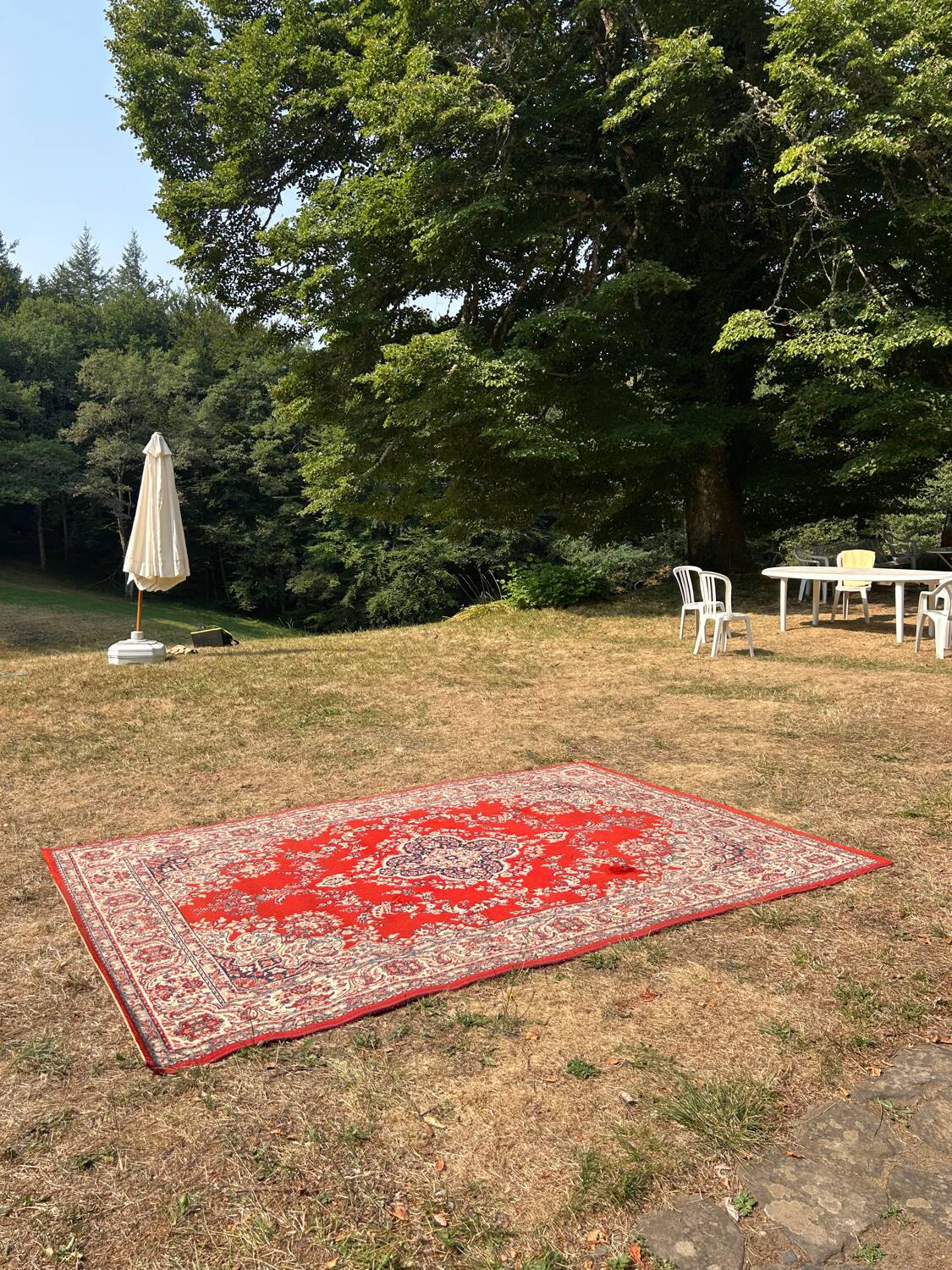 Vintage Persian rug