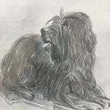 Dog charcoal drawing framed