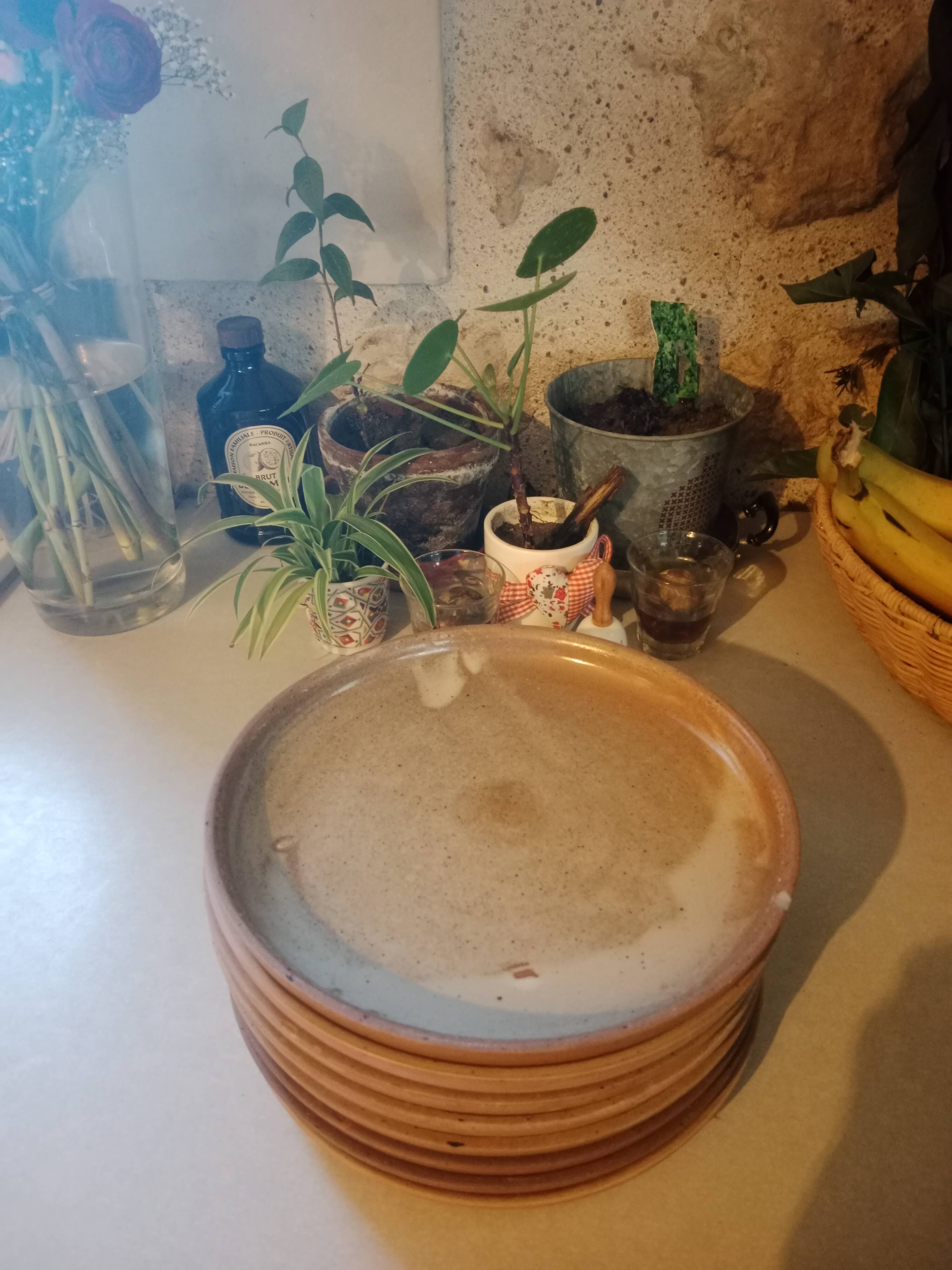 Vintage stoneware plates